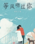等风吻过你