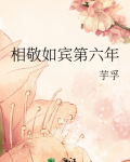 相敬如宾第六年