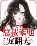 一胎三宝：总裁爹地宠翻天