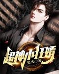 超神小狂婿