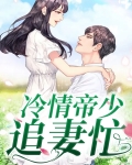 冷情帝少追妻忙