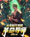 从海贼开始做革命导师
