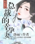 总裁的幸孕妻