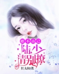 婚不由己，陆少请别撩