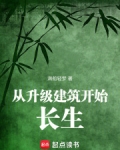升级建造小说