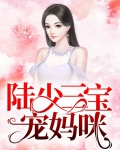 陆少三宝宠妈咪