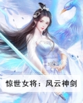 惊世女将:风云神剑