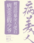 病美人假少爷被送给大佬后