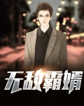 无敌霸婿
