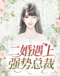 二婚遇上强势总裁