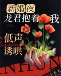 新婚夜,龙君抱着我低声诱哄
