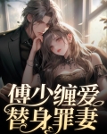傅少缠爱替身罪妻