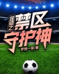 足球之禁区守护神