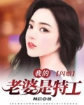 闪婚：我的老婆是特工