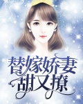 替嫁娇妻甜又撩