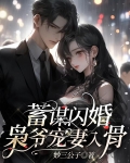 蓄谋闪婚:枭爷宠妻入骨