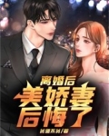 离婚后,美娇妻后悔了
