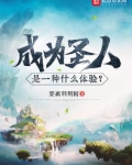 成为圣人是一种什么体验?