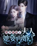 贺少别虐了,夫人她要再婚了