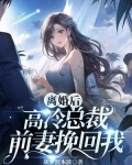 离婚后,高冷总裁前妻挽回我