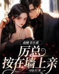 南秘书不乖，厉总按在墙上亲