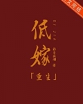 低嫁(重生)