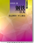 钢铁巨人:宝山钢铁厂开工建设