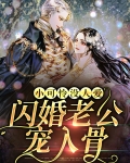 小可怜没人爱,闪婚老公宠入骨