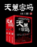 天墓密码（全3册）