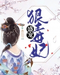盛宠狠毒妃