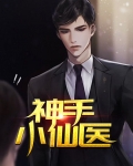 神手小仙医